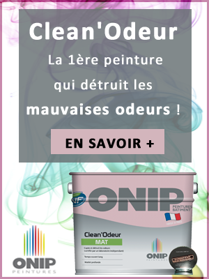 Peinture Anti Odeur ONIP
